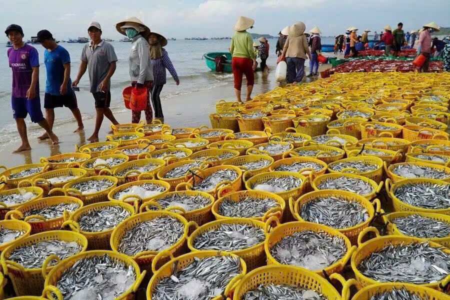 Nước mắm minh toàn thượng hạng